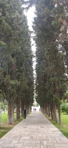 viber_image_2022-11-21_14-25-22-075