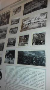 77279956 556615461797277 3945065866697113600 n